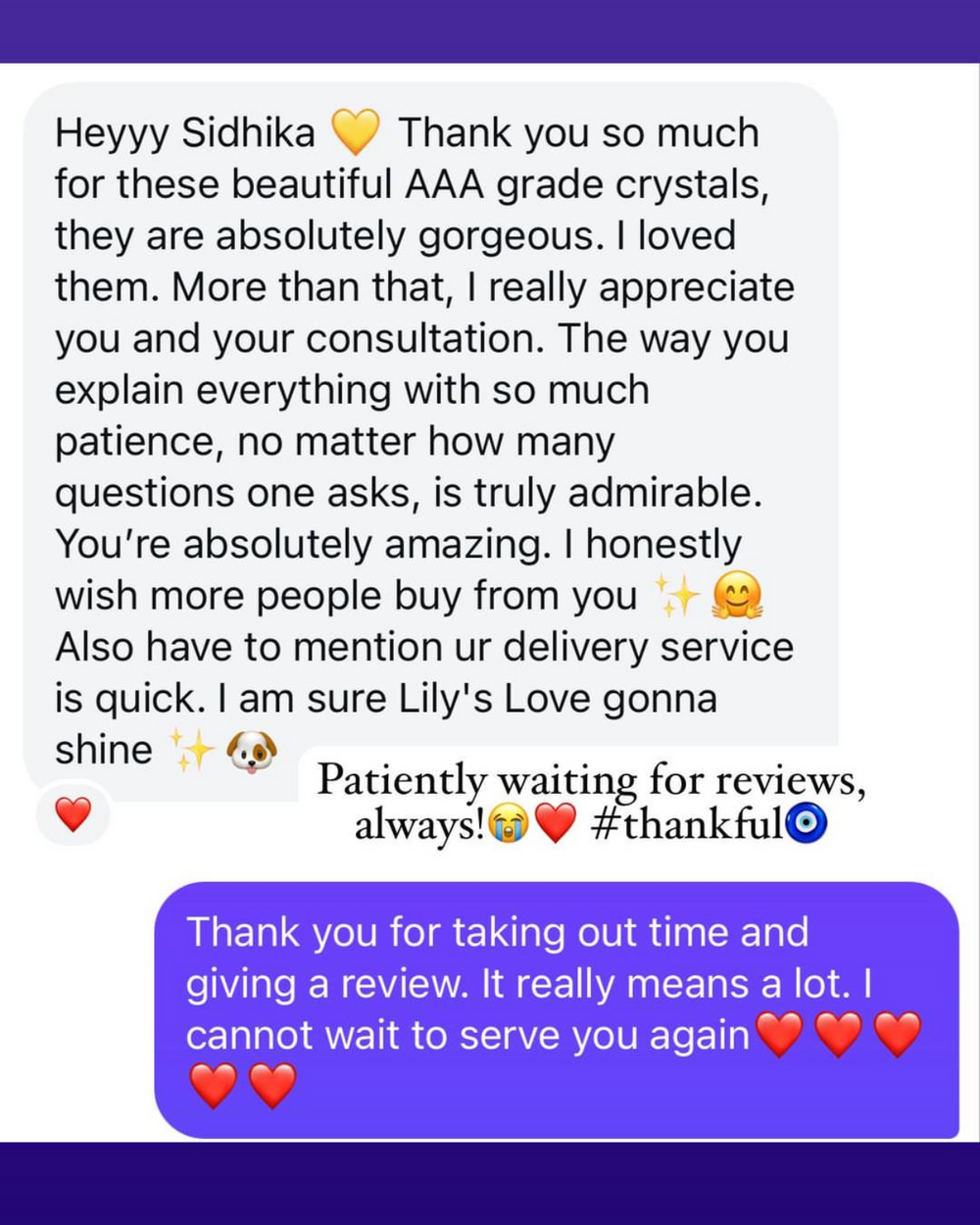 Customer Review